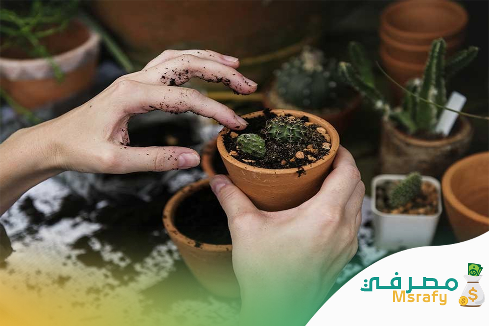 مشاريع صغيرة ناجحة للنساء في البيت