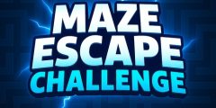 Maze Escape Challenge