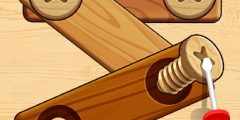 Wood Screw Puzzle