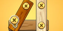 Nut Bolt Screw Puzzle Game
