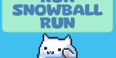 Run Snowball Run